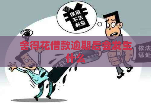 舍得花借款逾期后会发生什么