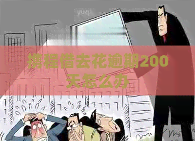 携程借去花逾期200天怎么办
