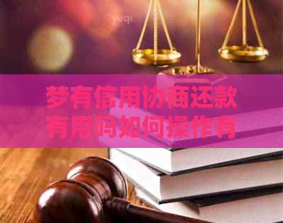 梦有信用协商还款有用吗如何操作有效果