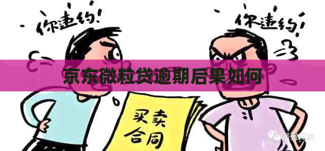 京东微粒贷逾期后果如何