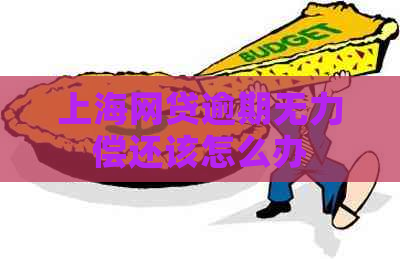 上海网贷逾期无力偿还该怎么办