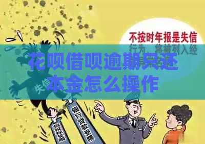 白条信用卡逾期只还本金怎么操作