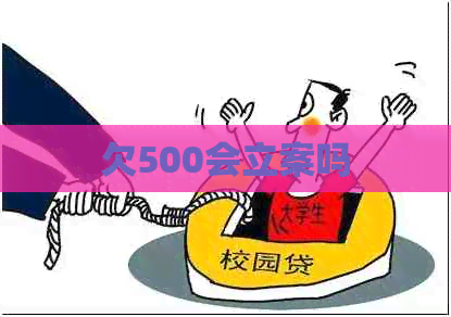欠500会立案吗