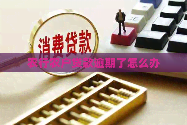 农行农户贷款逾期了怎么办