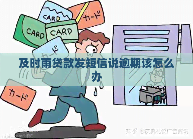 及时雨贷款发短信说逾期该怎么办