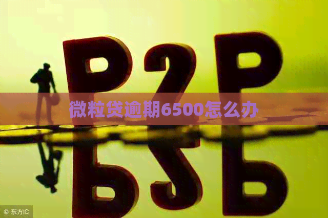 微粒贷逾期6500怎么办