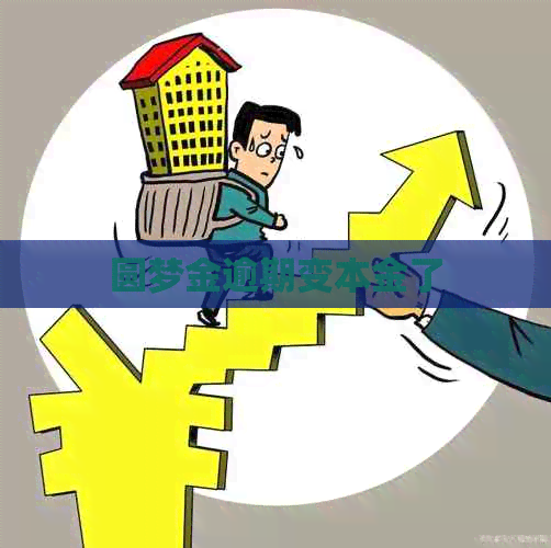 圆梦金逾期变本金了