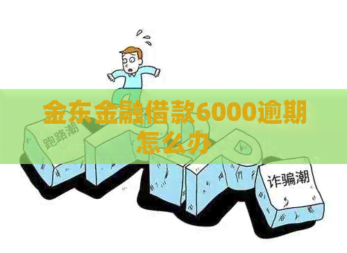 金东金融借款6000逾期怎么办