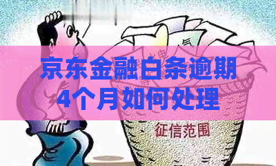 京东金融白条逾期4个月如何处理