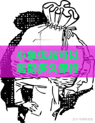 小象优品可以逾期多久保持账户安全