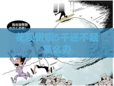 白条信用卡5千还不起怎么办