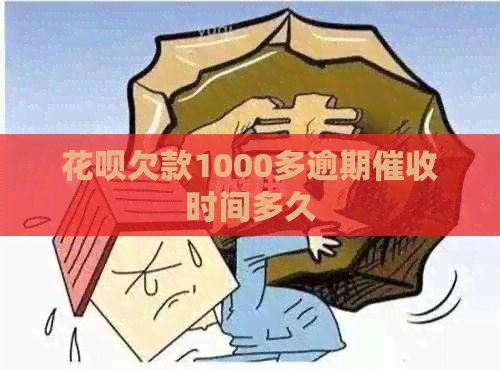 白条欠款1000多逾期时间多久