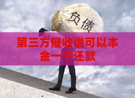 第三方说可以本金一下还款