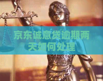 京东诚意贷逾期两天如何处理