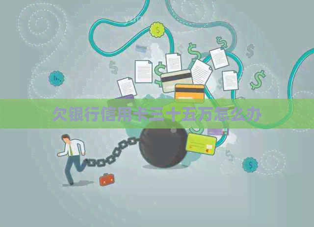 欠银行信用卡三十五万怎么办