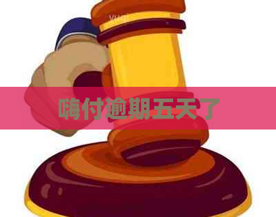 嗨付逾期五天了