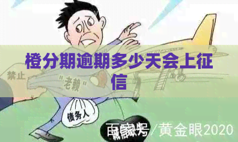 橙分期逾期多少天会上