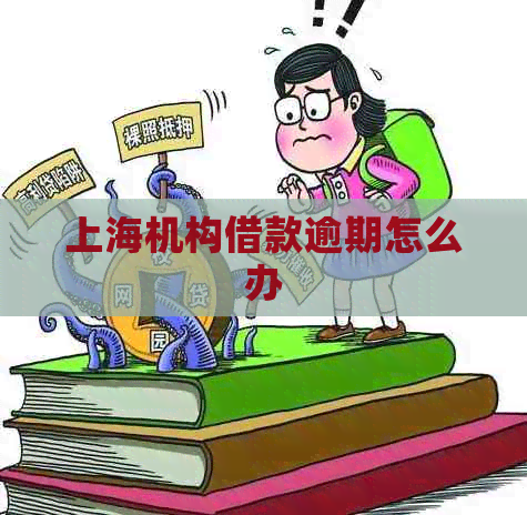 上海机构借款逾期怎么办