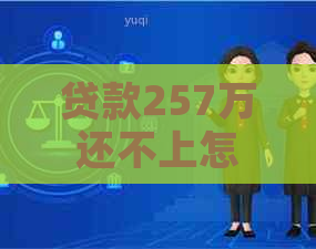 贷款257万还不上怎么办