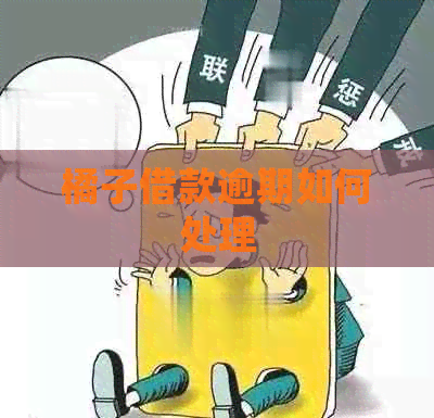 橘子借款逾期如何处理