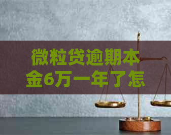 微粒贷逾期本金6万一年了怎么办