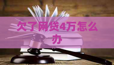欠了网贷4万怎么办