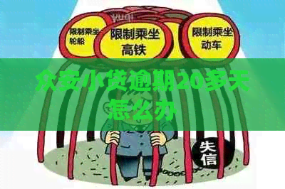 众安小贷逾期20多天怎么办