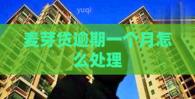 麦芽贷逾期一个月怎么处理