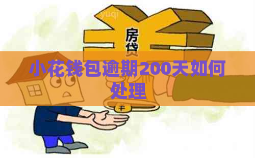 小花钱包逾期200天如何处理