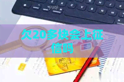 欠20多块会上吗
