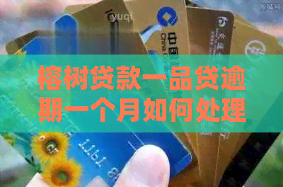 榕树贷款一品贷逾期一个月如何处理
