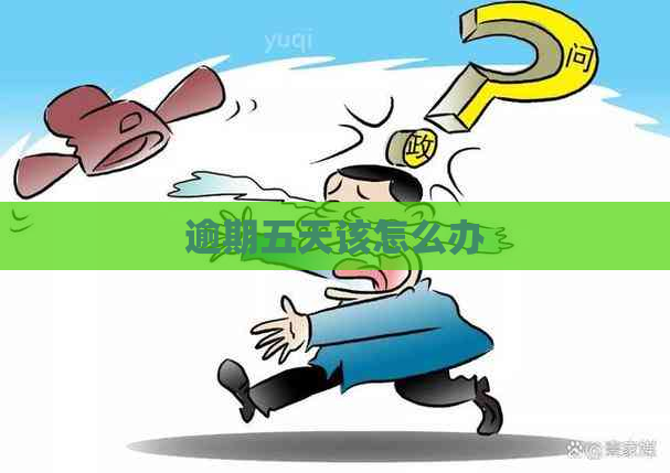 逾期五天该怎么办