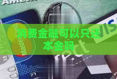 消费金融可以只还本金吗