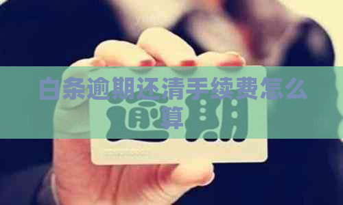 白条逾期还清手续费怎么算