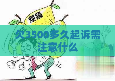 欠3500多久起诉需注意什么