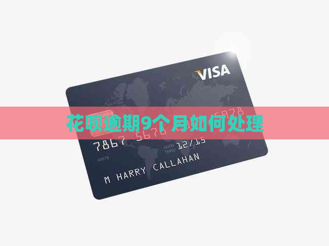 白条逾期9个月如何处理