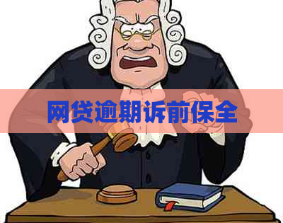 网贷逾期诉前保全