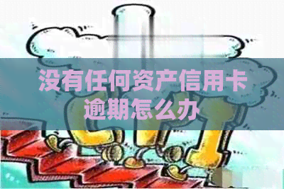 没有任何资产信用卡逾期怎么办