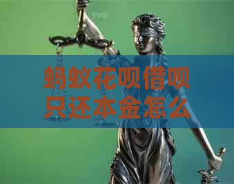 蚂蚁白条信用卡只还本金怎么操作