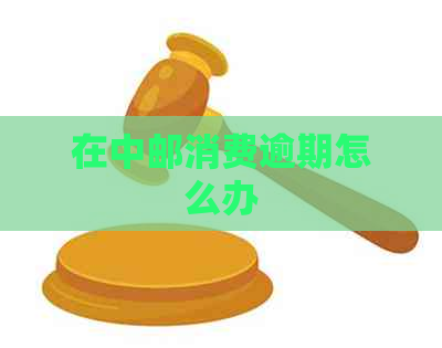 在中邮消费逾期怎么办