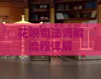 白条司法调解流程详解