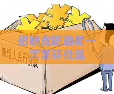 招联金融逾期一天怎样处理