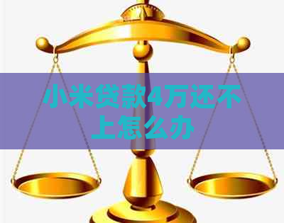 小米贷款4万还不上怎么办