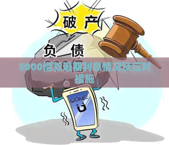 5000借款逾期利息情况及应对措施