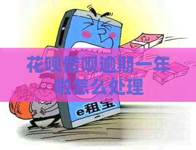 白条信用卡逾期一年啦怎么处理 白条信用卡逾期一年啦怎么处理