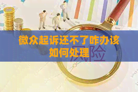 微众起诉还不了咋办该如何处理