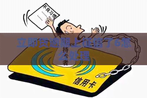 立即贷逾期上了6怎么处理