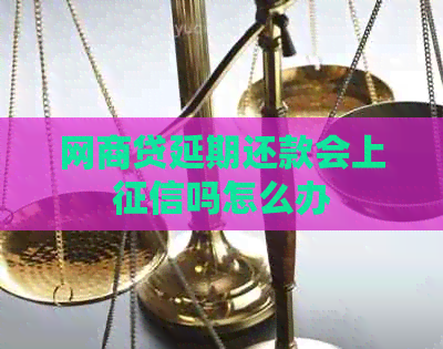 白条贷延期还款会上吗怎么办
