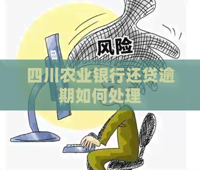 四川农业银行还贷逾期如何处理
