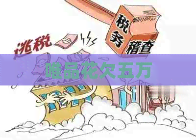 唯品花欠五万